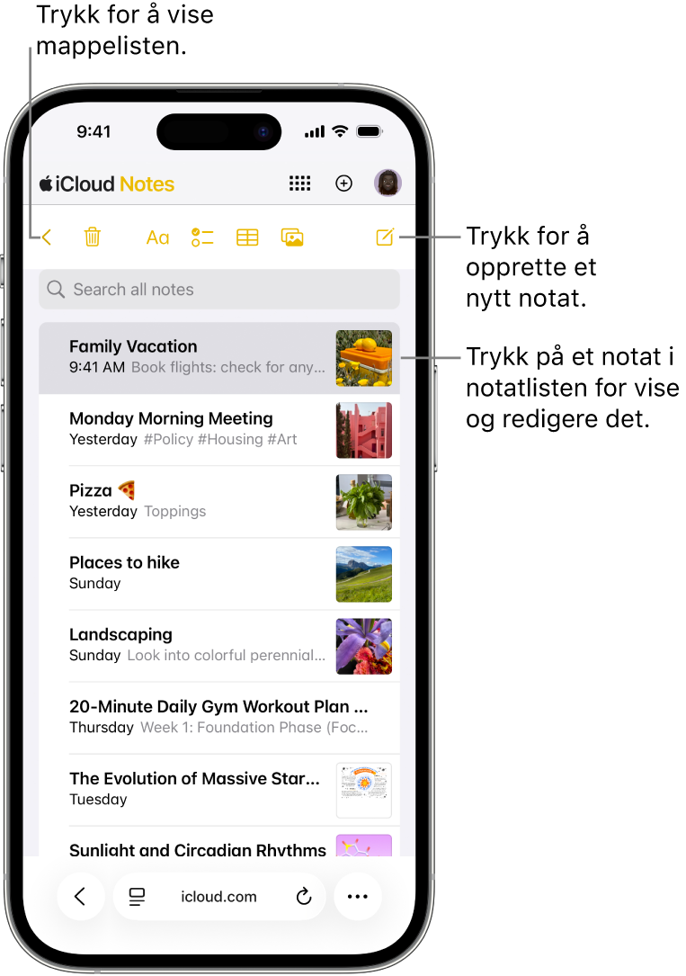 En liste over åpne notater på iCloud.com på en telefon.