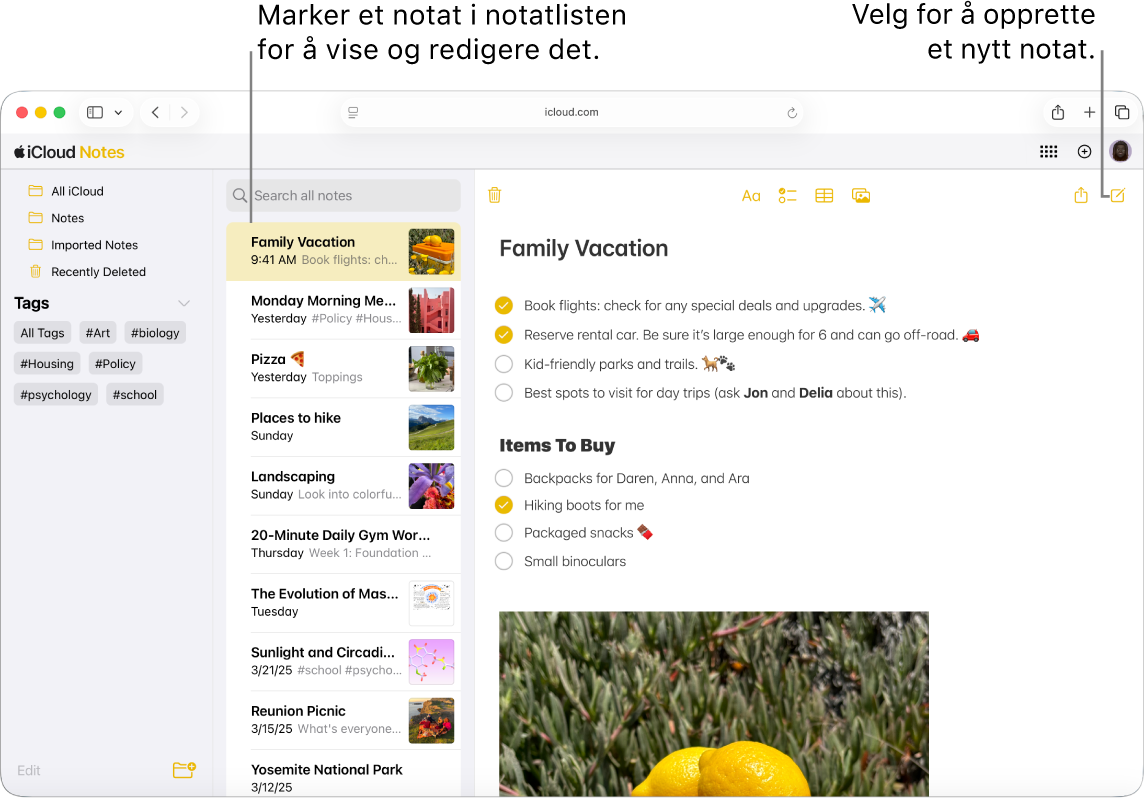 Et åpent notat på iCloud.com med flere notater synlig i et sidepanel, og et åpent notat på høyre side i sidepanelet.