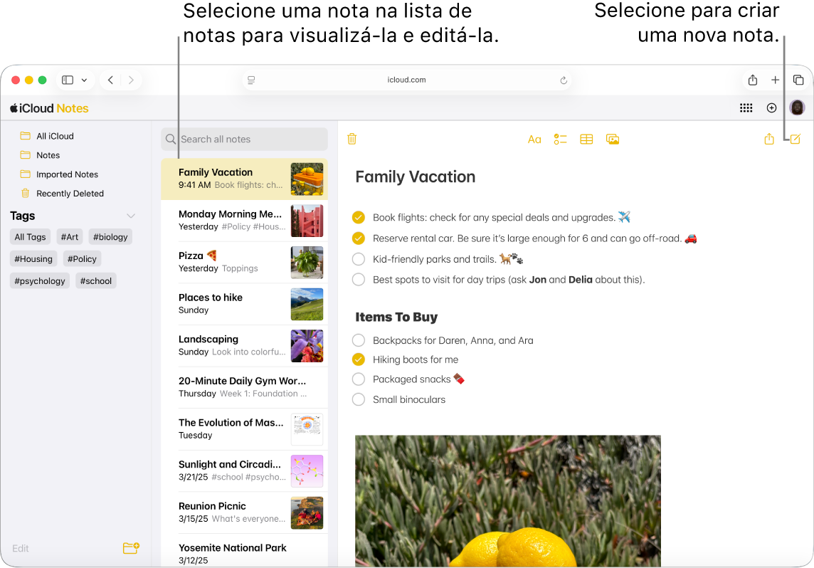 Nota aberta em iCloud.com, onde várias notas são exibidas em uma barra lateral e uma nota aberta é exibida à direita dessa barra.