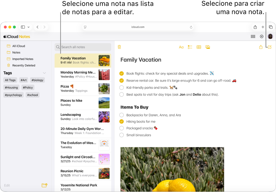 Uma nota aberta em iCloud.com, com várias notas apresentadas numa barra lateral e uma nota aberta à direita da barra lateral.