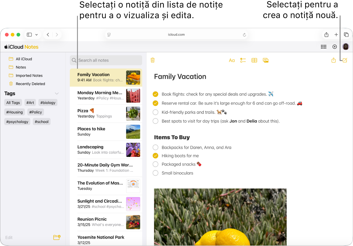 O notiță deschisă pe icloud.com, cu mai multe notițe afișate într-o bară laterală și o notiță deschisă în partea dreaptă a barei laterale.