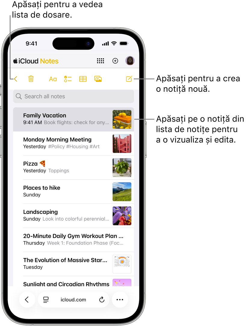 O listă deschisă de notițe pe icloud.com pe un telefon.