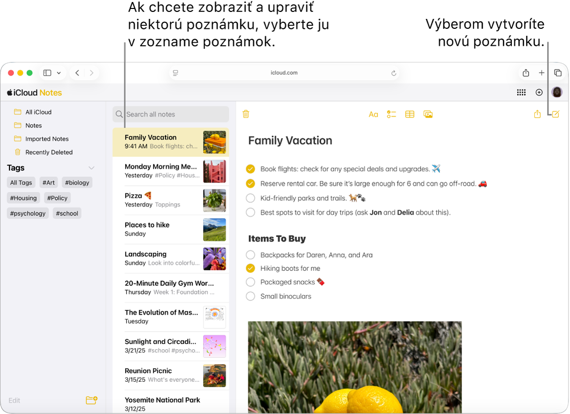 Otvorená poznámka na stránke iCloud.com. Niekoľko poznámok je zobrazených na bočnom paneli a napravo od bočného panela je otvorená poznámka.