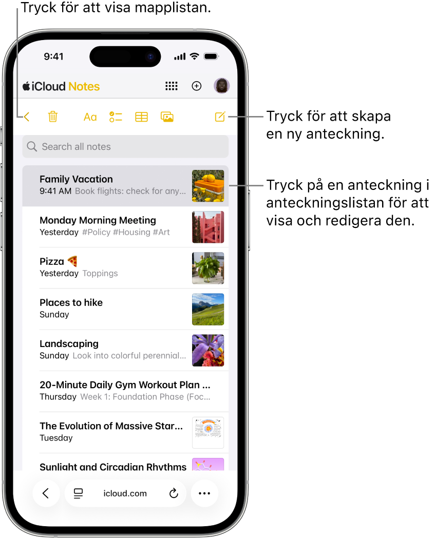 En lista med öppna anteckningar på iCloud.com på en telefon.