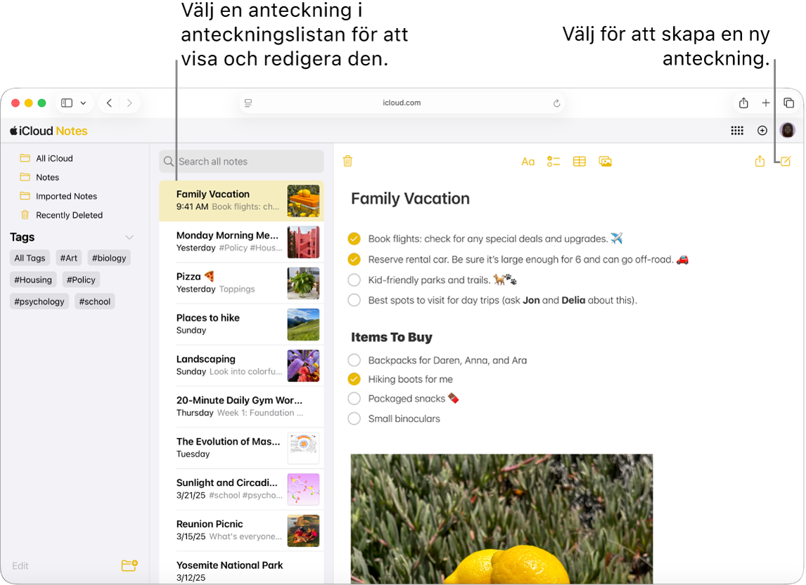 En öppen anteckning på iCloud.com, med flera anteckningar som visas i ett sidofält och en öppen anteckning till höger om sidofältet.