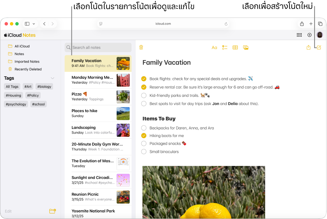 โน้ตที่เปิดอยู่บน iCloud.com โดยมีโน้ตหลายรายการปรากฏในแถบด้านข้าง และโน้ตที่เปิดอยู่ทางด้านขวาของแถบด้านข้าง