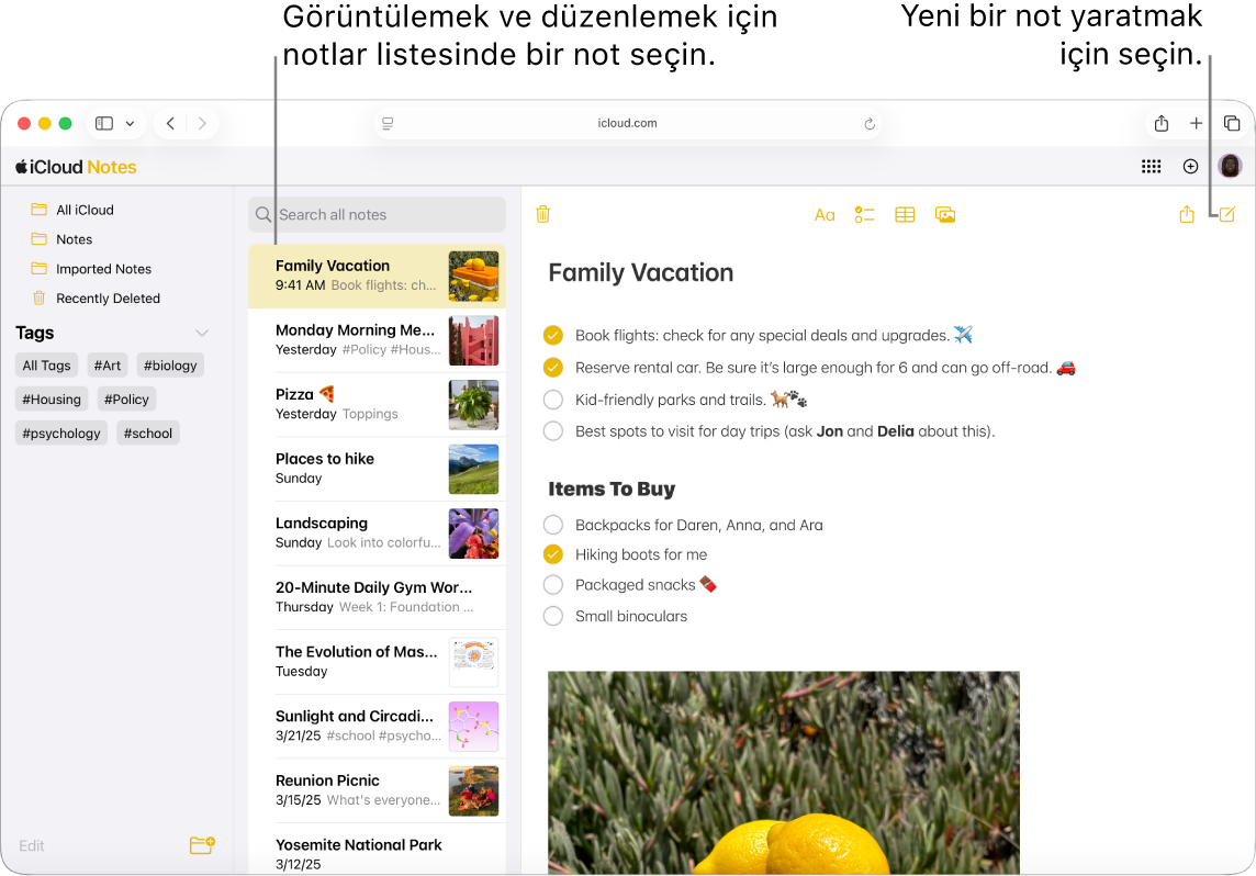 iCloud.com’da açık bir not, kenar çubuğunda görünen birkaç not ve kenar çubuğunun sağında açık bir not.
