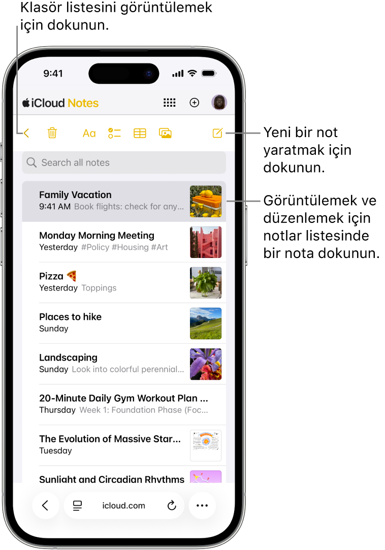 Telefonda iCloud.com’da açık bir not listesi.