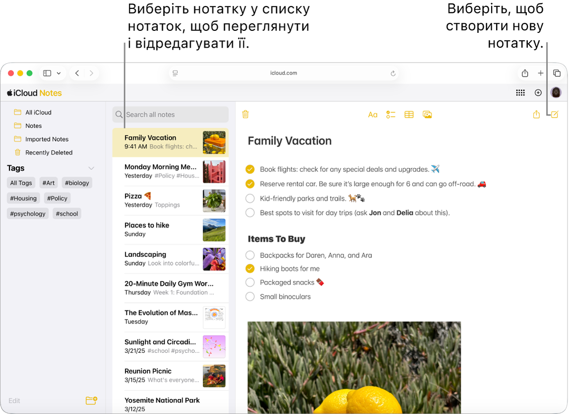 Відкрита нотатка на вебсайті iCloud.com. На бічній панелі розташовано кілька нотаток і ще одну нотатку відкрито праворуч від бічної панелі.