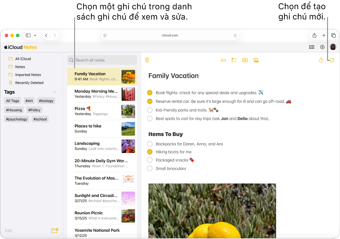 Một ghi chú đang mở trên iCloud.com, trong đó một vài ghi chú hiển thị ở thanh bên, một ghi chú đang mở nằm ở bên phải thanh bên.