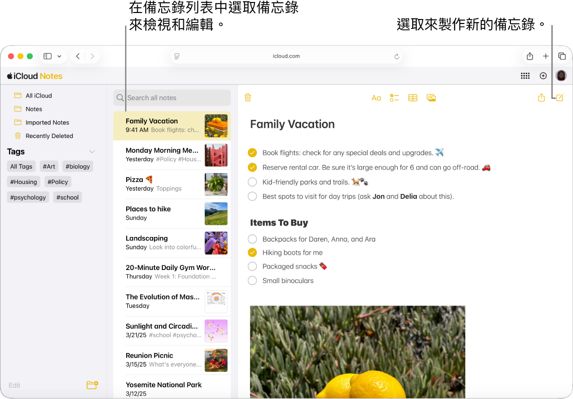 iCloud.com 上開啟的備忘錄列表，側邊欄中顯示多個備忘錄，而開啟的備忘錄會在側邊欄右側顯示。