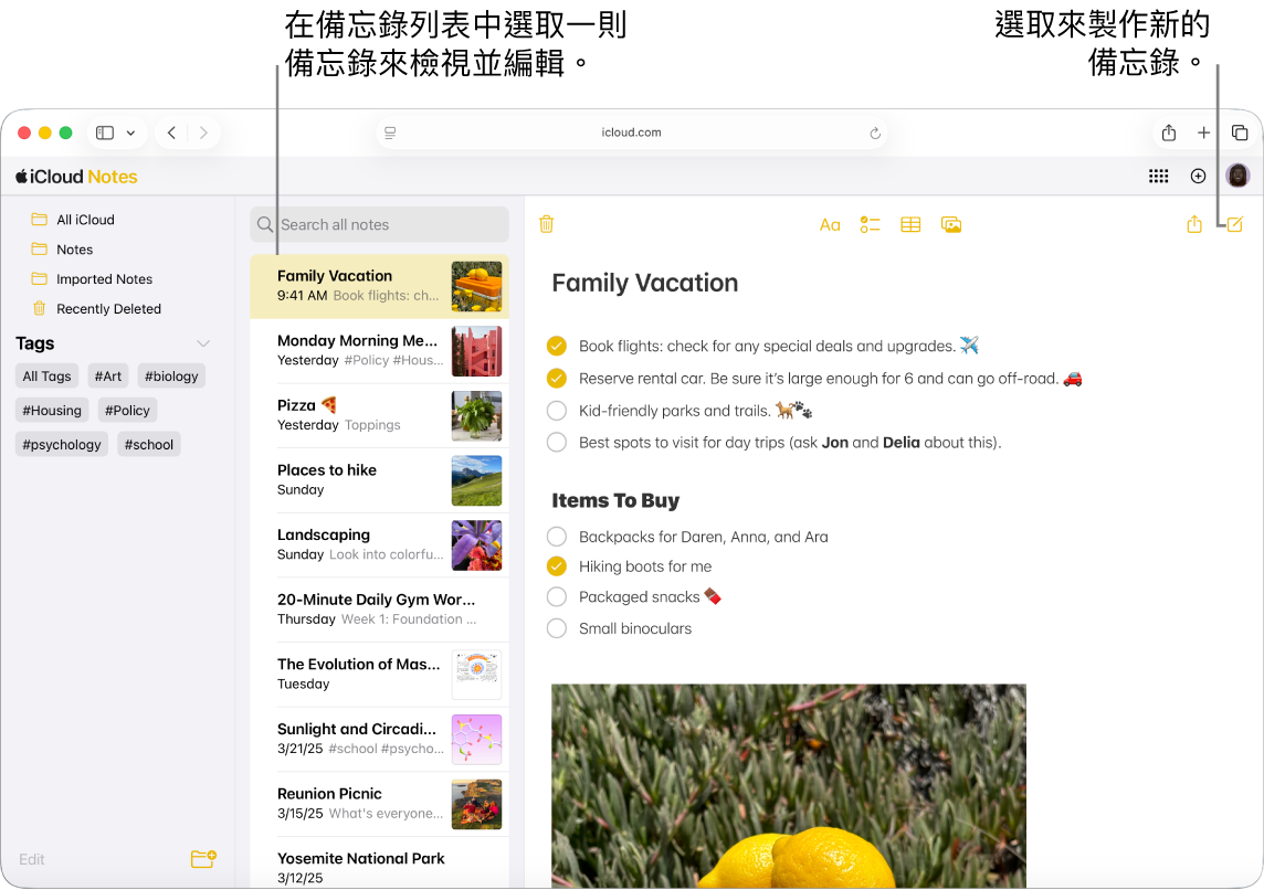 iCloud.com 上打開的備忘錄，多個備忘錄顯示在側邊欄中，而側邊欄右側則顯示一個打開的備忘錄。