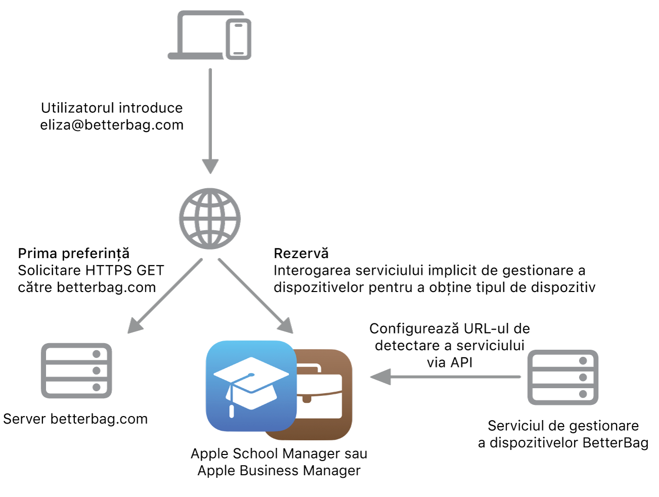 Fluxul de lucru al detectării serviciului, prezentând metoda alternativă de detectare a serviciului.