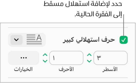 خانة اختيار الحرف الاستهلالي الكبير محددة، وتظهر قائمة منبثقة على يسارها؛ تظهر عناصر التحكم لإعداد ارتفاع السطر وعدد الأحرف والخيارات الأخرى أسفلها.