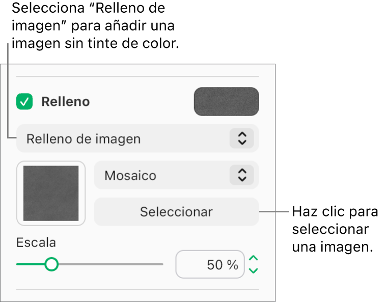 La casilla Relleno está seleccionada en la barra lateral, y “Relleno de imagen” aparece en el menú emergente debajo de la casilla. Los controles para elegir una imagen, su escala y cómo rellena el objeto aparecen debajo del menú emergente. Aparece una previsualización de la imagen en el cuadrado (después de que se seleccione una imagen).