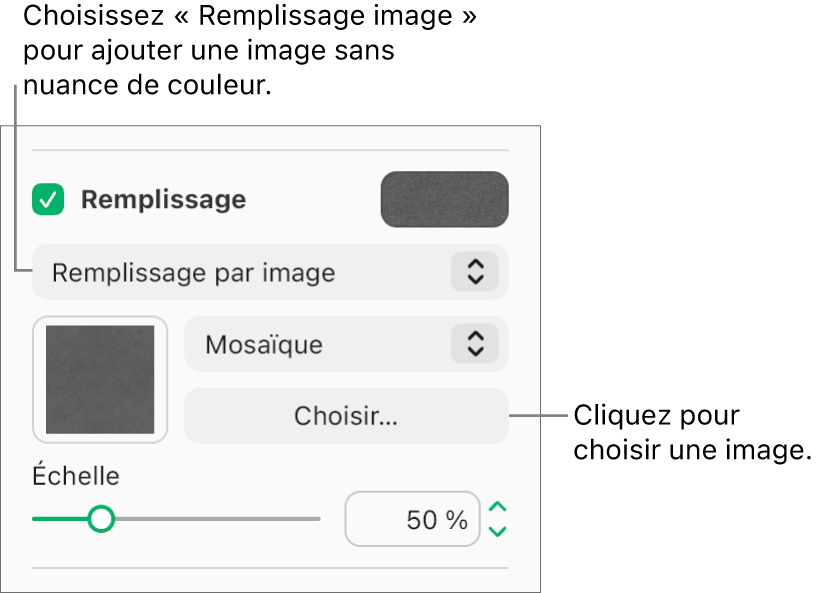 La case Remplissage est cochée dans la barre latérale et l’option Remplissage image est sélectionnée dans le menu local situé sous la case à cocher. Les commandes permettant de choisir l’image, la façon dont elle remplit l’objet et l’échelle de l’image s’affichent sous le menu local. Un aperçu du remplissage de l’image apparaît dans un carré une fois qu’une image est choisie.