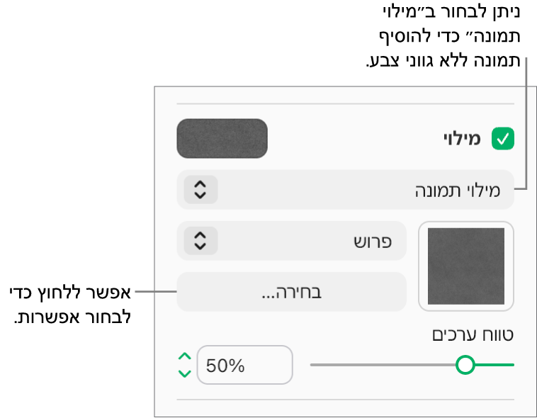 תיבת הסימון ״מילוי״ נבחרת בסרגל הצד והאפשרות ״מילוי תמונה״ נבחרת בתפריט הקופץ מתחת לתיבת הסימון. מתחת לתפריט הקופץ מוצגים פקדים לבחירת התמונה, קנה המידה שלה והאופן שבו היא תמלא את האובייקט. תצוגה מקדימה של מילוי התמונה מופיעה בריבוע (לאחר שבוחרים תמונה).