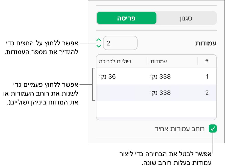 פקדי עמודות המלל בחלונית ״פריסה״ של סרגל הצד ״עיצוב״.
