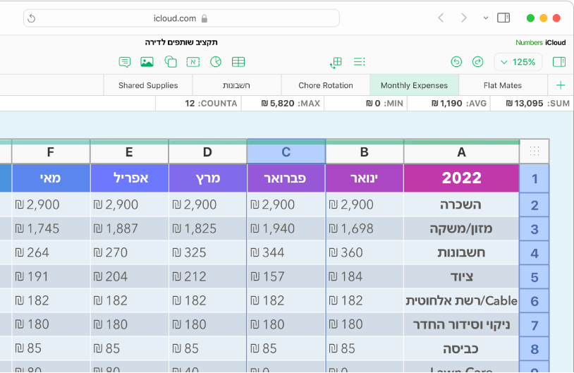טבלה עם כותרות ונתונים.