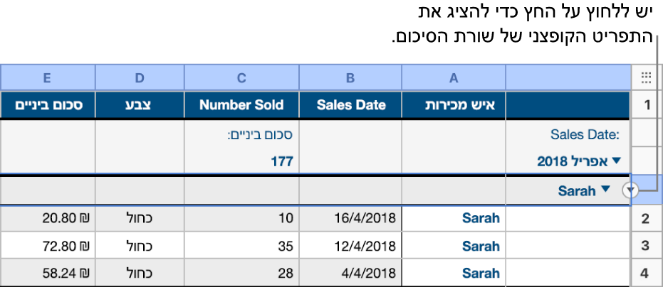 טבלה עם היררכיה של שתי רמות; השורה של הקטגוריה הנמוכה יותר נבחרת, וחץ שפונה מטה מופיע על הגבול שלה.