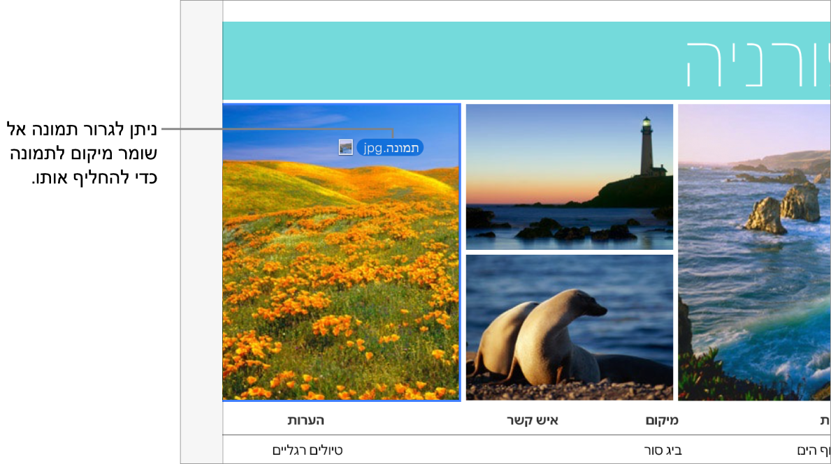 תמונה חדשה נגררת למציין מיקום תמונה.