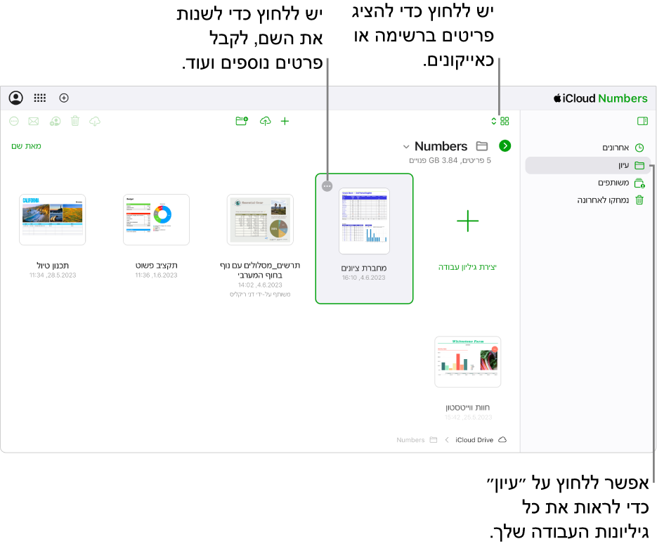 מנהל המסמכים בתצוגת עיון, מציג מסמכים של Numbers כאייקונים בתצוגת רשת. הכפתור ״עוד״ (שלוש נקודות) מופיע בפינה הימנית העליונה של גיליון העבודה שנבחר. מעל לגיליונות העבודה, הצד הימני של סרגל הכלים כולל תפריט קופצני שבו ניתן לבחור אם להציג פריטים כאייקונים או ברשימה. בצד השמאלי של סרגל הכלים יש כפתורים להורדה, שיתוף פעולה, שליחה בדוא״ל או מחיקה.