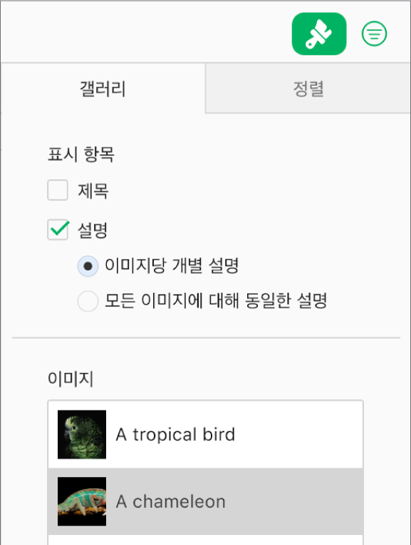 포맷 사이드바의 갤러리 탭. 설명 체크상자가 선택되어 있으며 각 이미지에 대해 개별 설명을 추가하거나 모든 이미지에 대해 동일한 설명을 추가하는 옵션이 있습니다. 제어기 아래에는 각 이미지의 썸네일과 그 오른쪽에 이미지에 대한 설명이 있습니다.