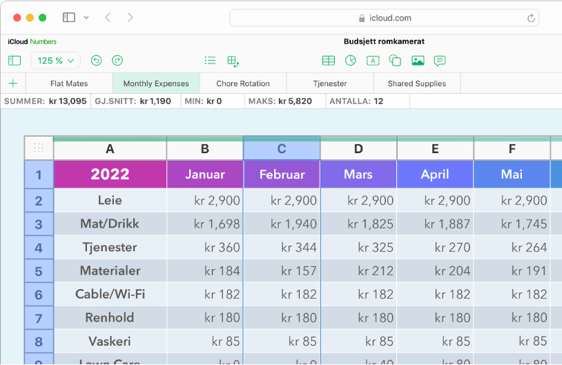 En tabell med overskrifter og data.
