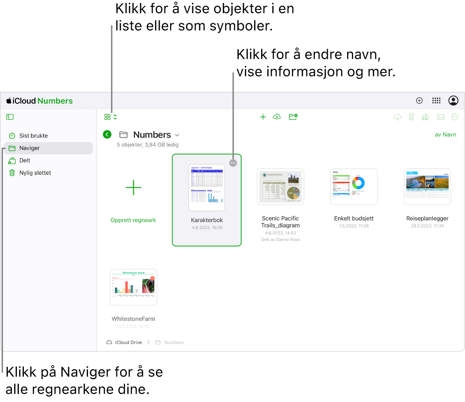 Dokumentorganisering i navigeringsvisning viser Numbers-dokumenter som symboler i et rutenett. Mer-knappen (tre prikker) vises i øvre høyre hjørne av det valgte regnearket. Over regnearkene er det en lokalmeny på venstre side i verktøylinjen der du kan velge om du vil vise objekter som symboler eller i en liste. Til høyre i verktøylinjen er det knapper for å laste ned, samarbeide, sende e-post og slette.