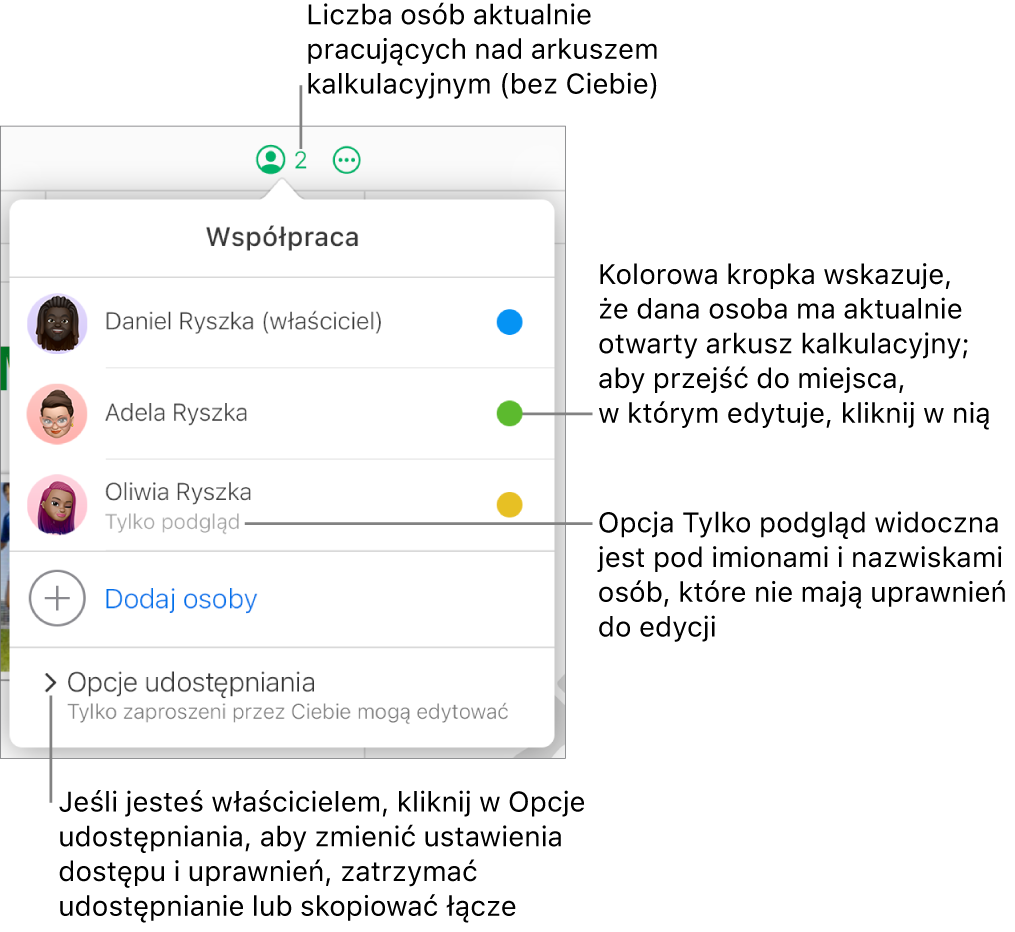 Otwarte menu Współpraca z listą trzech uczestników (z których jeden ma uprawnienia dostępu Tylko podgląd), opcją Dodaj osoby i sekcją Opcje udostępniania, w której właściciele mogą zmieniać ustawienia dostępu i uprawnień.