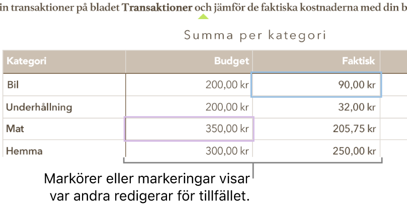 Markörer och markeringar i tabellceller med olika färger visar var andra personer redigerar i ett delat kalkylblad.
