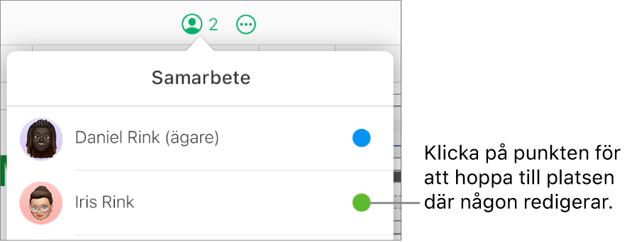 Menyn Samarbete är öppen med två deltagare och olika färgpunkter till höger om vardera namn.