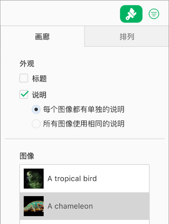 “格式”边栏中的“画廊”标签。“说明”复选框已选中，还可以选择是为每张图像提供单独的说明，还是为所有图像提供相同的说明。控制项下方是每张图像的缩略图，右侧附上相应图像的说明。