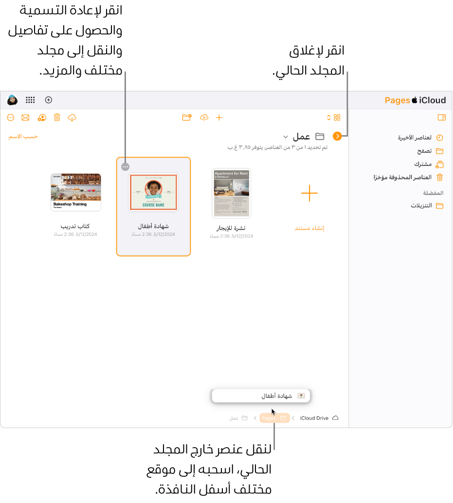في مدير المستندات في طريقة عرض التصفح، يُسحَب مستند إلى موقع جديد (مجلد Pages) في أسفل النافذة. أسفل شريط الأدوات، يظهر زر "الرجوع" على يمين اسم المجلد الحالي (Work).
