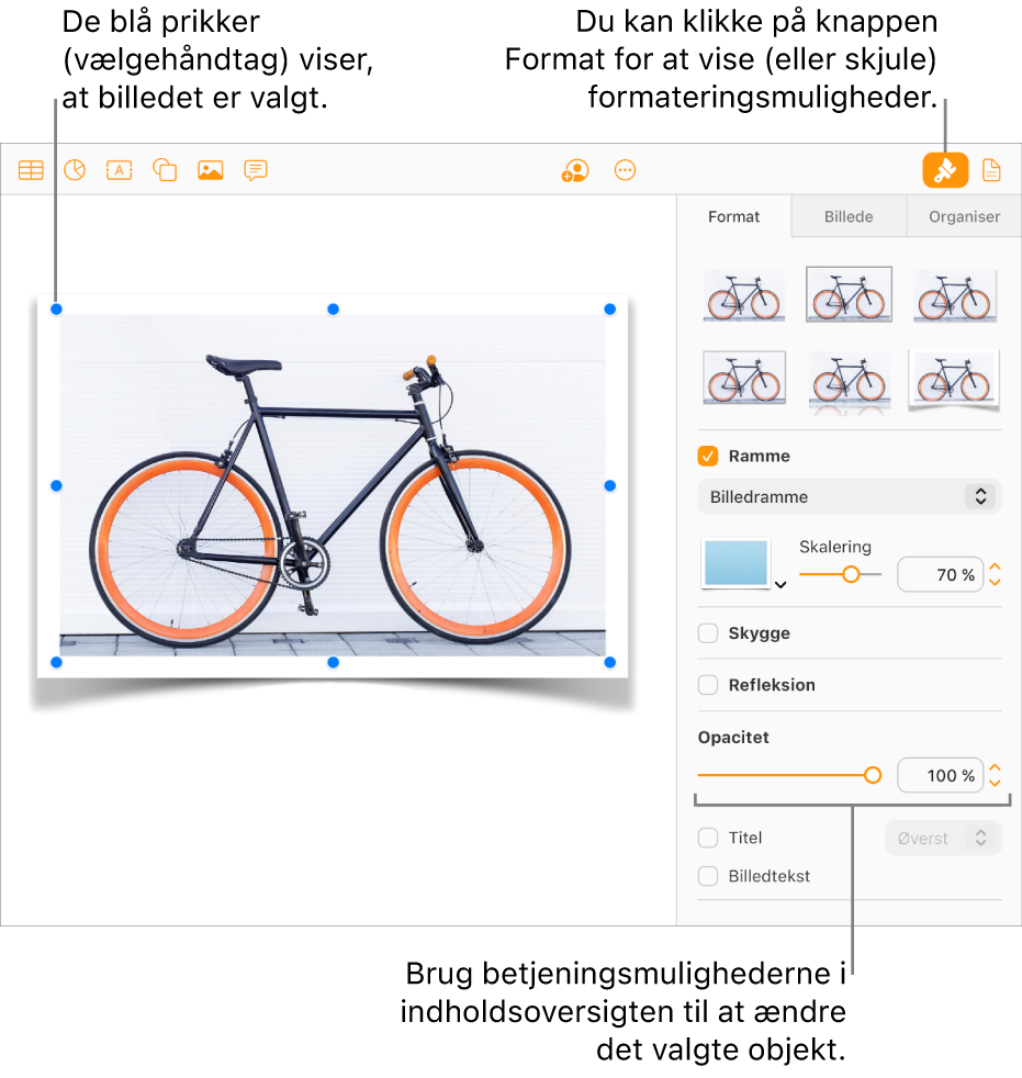 Et billede i et dokument er valgt, og indstillingerne til ændring af udseendet (f.eks. afkrydsningsfelter for ramme og skygge) vises i indholdsoversigten til højre.