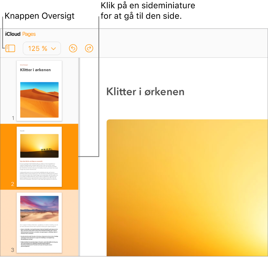 Oversigten Miniaturer af sider på venstre side af skærmen med en side valgt. Knappen Oversigt findes på værktøjslinjen oven over miniaturerne.