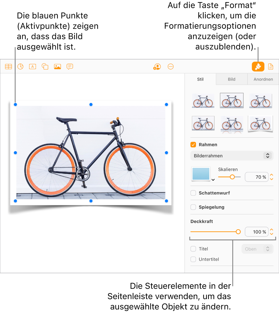 Ein in einem Dokument ausgewähltes Bild und die Steuerelemente zum Ändern seines Erscheinungsbildes (z. B. Markierungsfelder für Rahmen und Schattenwurf) werden in der rechten Seitenleiste angezeigt.