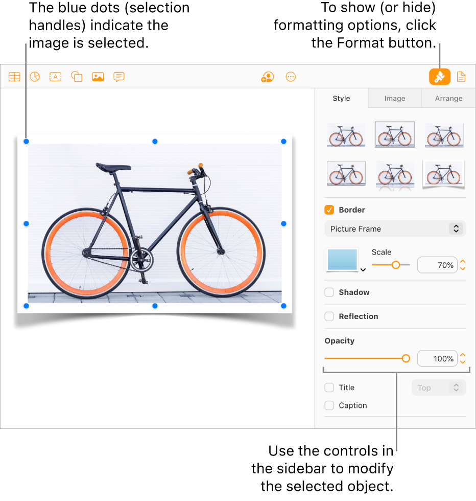 An image in a document is selected, and controls to change its appearance (for example, border and shadow checkboxes) show in the sidebar on the right.
