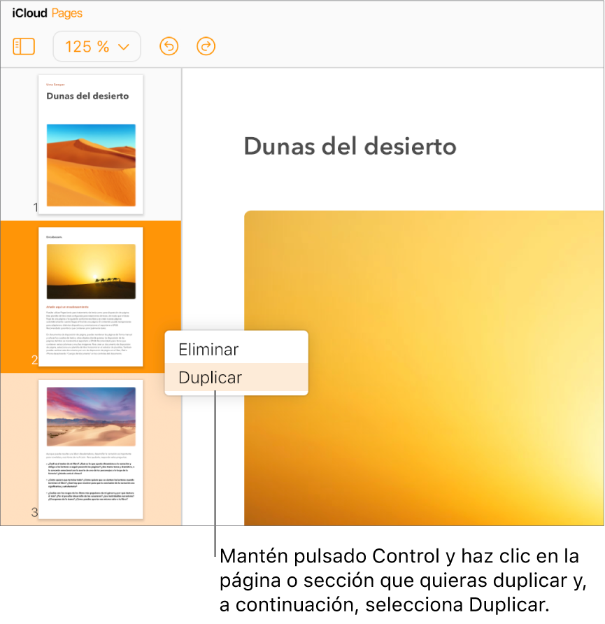 Miniaturas de página para un documento de procesamiento de texto con varias páginas en la barra lateral izquierda, con la página seleccionada resaltada en naranja oscuro y otra página de la misma sección resaltada en naranja claro. Un menú emergente tiene opciones para Eliminar o Duplicar la sección seleccionada.