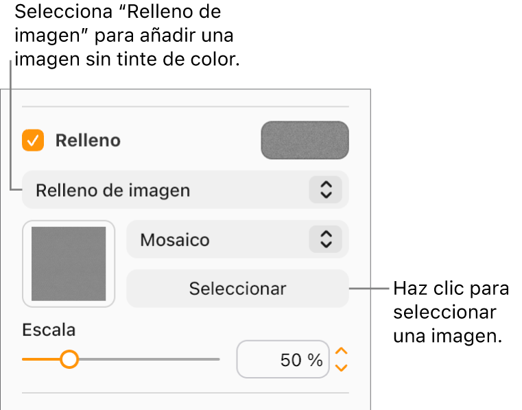 La casilla Relleno está seleccionada en la barra lateral, y “Relleno de imagen” aparece en el menú emergente debajo de la casilla. Los controles para elegir una imagen, su escala y cómo rellena el objeto aparecen debajo del menú emergente. Aparece una previsualización de la imagen en el cuadrado (después de que se seleccione una imagen).