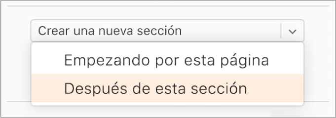El menú emergente “Crear una nueva sección” está abierto, y está seleccionado “Después de esta sección”.