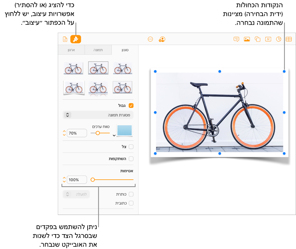 נבחרת תמונה במסמך ופקדים המשמשים לשינוי המראה שלה (לדוגמה, תיבות סימון של גבולות וצללים) מופיעים בסרגל הצד מימין.