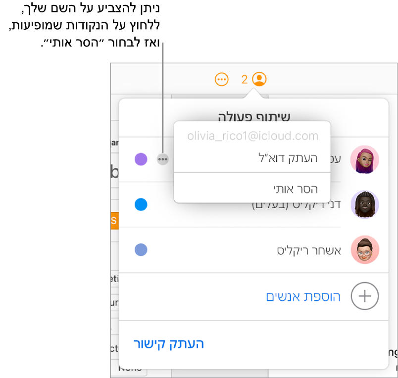 התפריט ״שיתוף פעולה״ פתוח, עם הכפתור ״עוד״ לצד המשתתף הראשון שמסומן והאפשרות ״הסר אותי״ זמינה לבחירה.