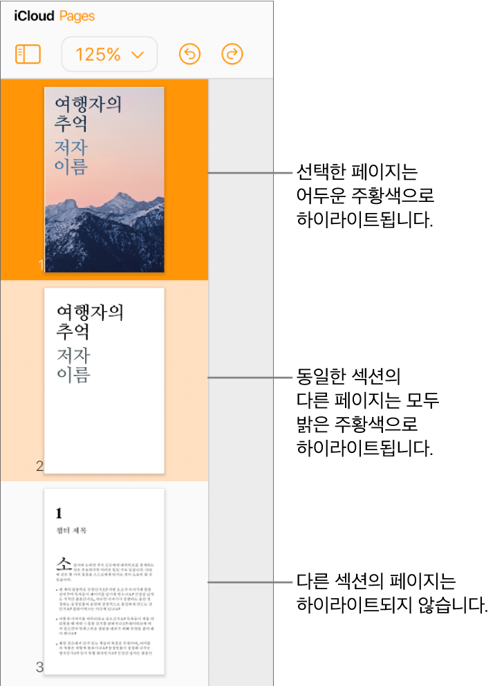 선택한 페이지가 어두운 주황색으로 하이라이트되어 있고 같은 섹션의 다른 페이지가 밝은 주황색으로 하이라이트되어 있는 왼쪽 사이드바의 페이지 썸네일. 다른 섹션의 페이지 뒤에는 하이라이트가 없습니다.