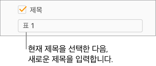 포맷 사이드바에서 제목 체크상자가 선택되어 있습니다. 체크상자 아래의 텍스트 필드에 위치 지정자 표 제목 ‘제목 1’이 표시되어 있습니다.