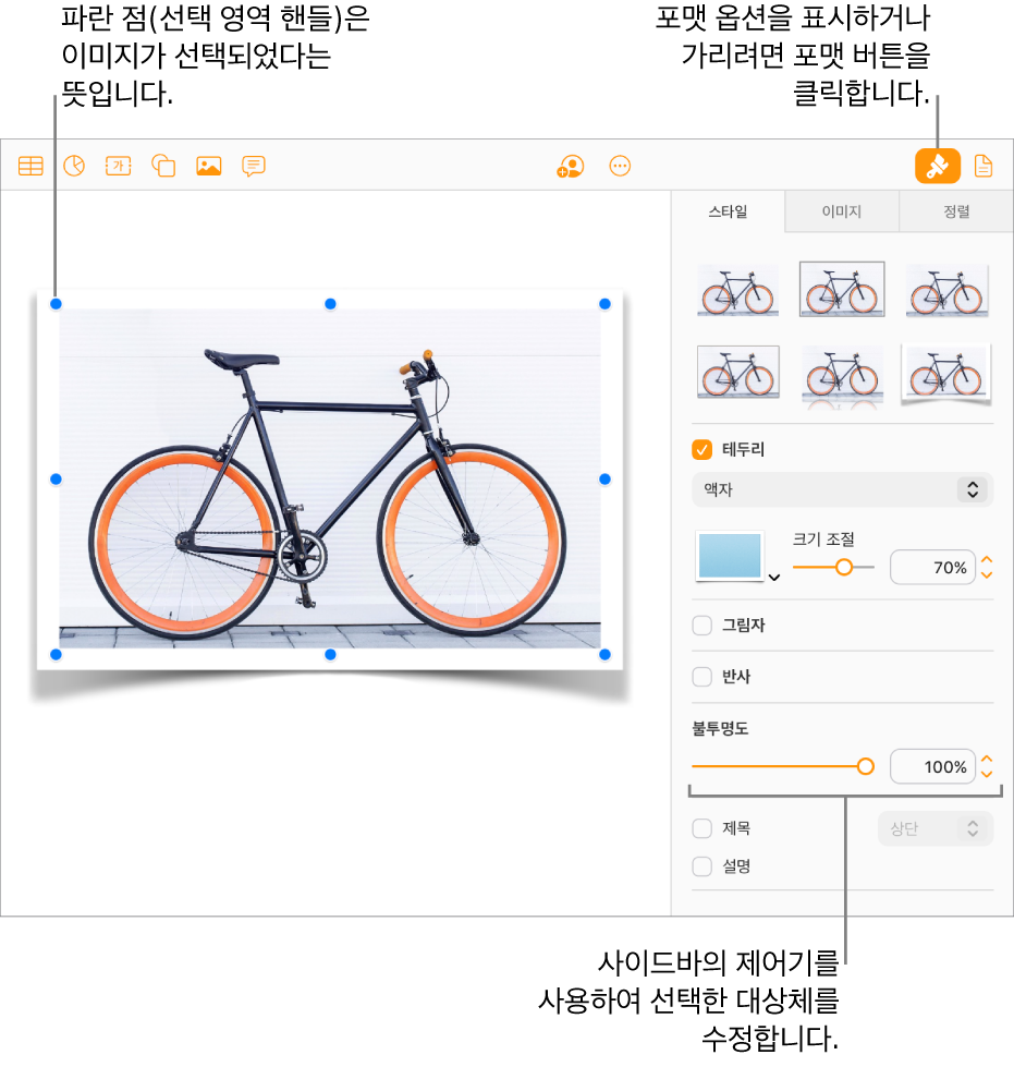 문서의 이미지가 선택되어 있으며, 모양(예: 테두리 및 그림자 체크상자)을 변경할 수 있는 제어기가 오른쪽의 사이드바에 표시되어 있습니다.