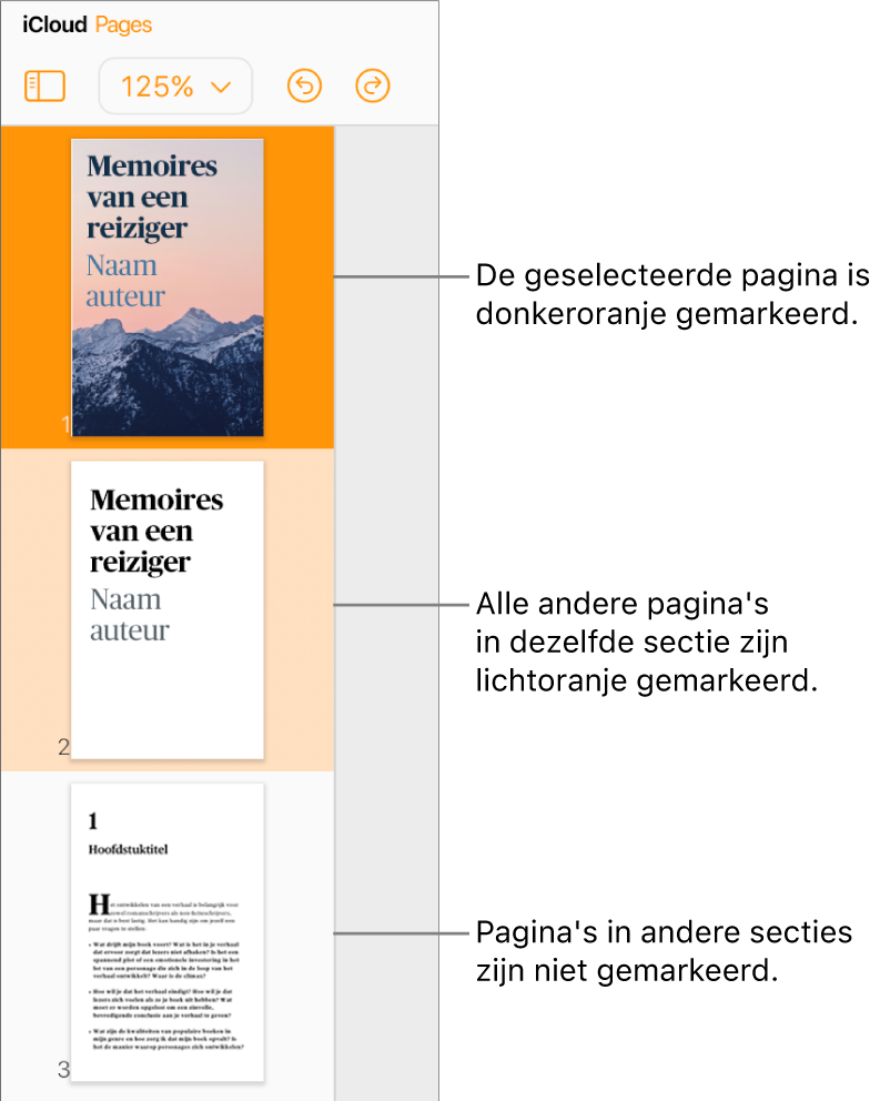 Paginaminiaturen in de navigatiekolom aan de linkerkant; de geselecteerde pagina is in donkeroranje gemarkeerd, terwijl één andere pagina in dezelfde sectie lichtoranje is gemarkeerd. Een pagina in een andere sectie krijgt geen kleurmarkering.
