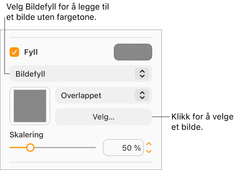 Det er krysset av i Fyll-ruten i sidepanelet, og Bildefyll er valgt på lokalmenyen under avkrysningsruten. Kontroller for valg av bilde, hvordan det fyller objektet, og bildeskaleringen vises under lokalmenyen. En forhåndsvisning av fargefyllet vises i firkanten (etter et bilde er valgt).