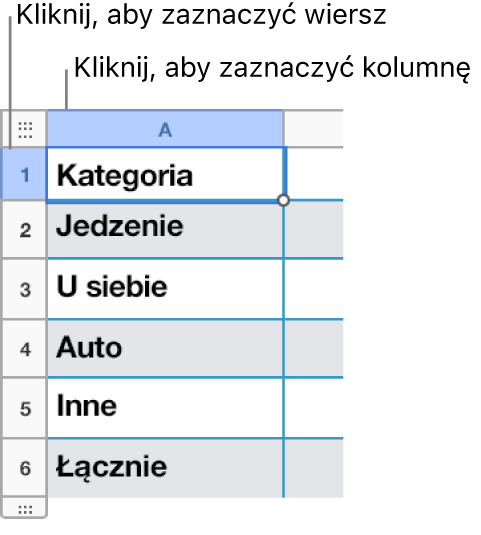 Zaznaczony wiersz tabeli z opisami sposobu zaznaczania wierszy i kolumn.