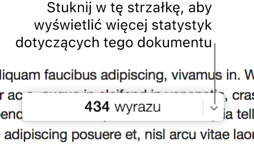 Menu podręczne z informacją o liczbie wyrazów w dokumencie.